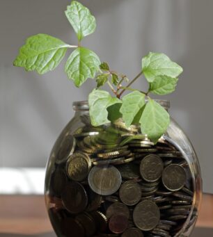 A vertical shot of a plant in a glass jar filled with coins